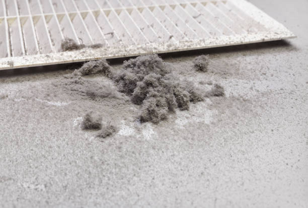 Best Commercial HVAC Duct Cleaning  in Springmont, PA