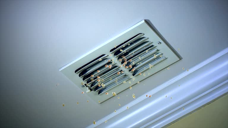Best Best Air Duct Cleaning Company  in Springmont, PA