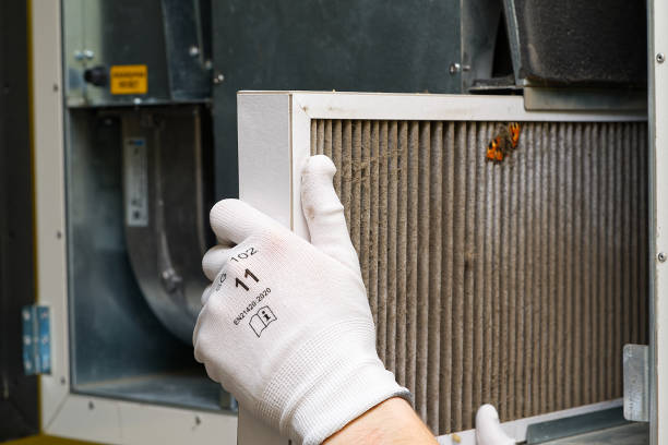 Best Residential Air Duct Cleaning  in Springmont, PA