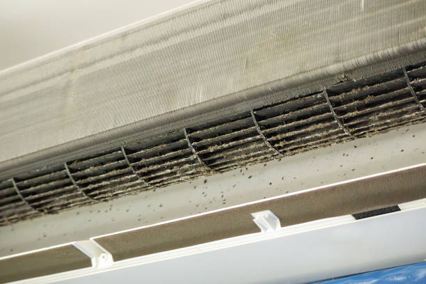 Best Dryer Vent Cleaning Services  in Springmont, PA