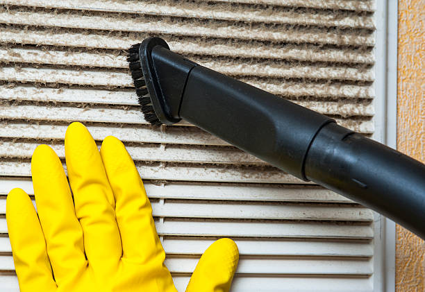 Best Dryer Vent Cleaning Services  in Springmont, PA
